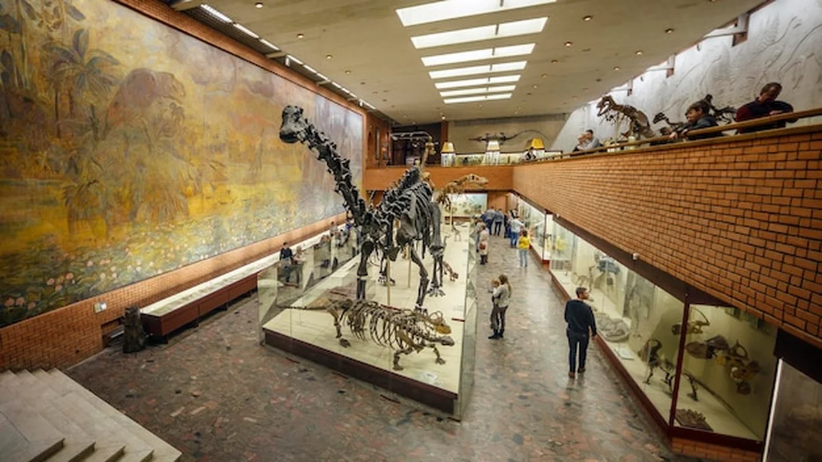Ogromny szkielet dinozaura w Muzeum Paleontologicznym