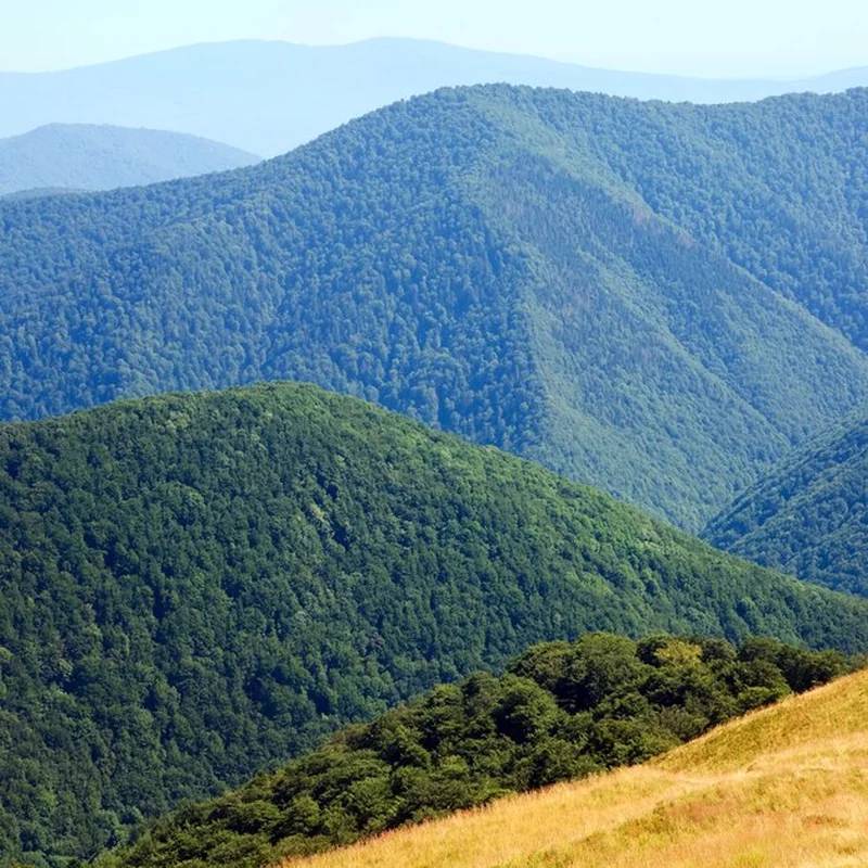 Czas przejścia na Połoninę Caryńską i Wetlińską w Bieszczadach