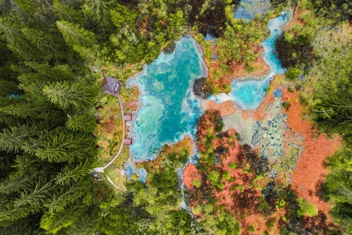 Rezerwat przyrody Zelenci w Słowenii – poranny widok