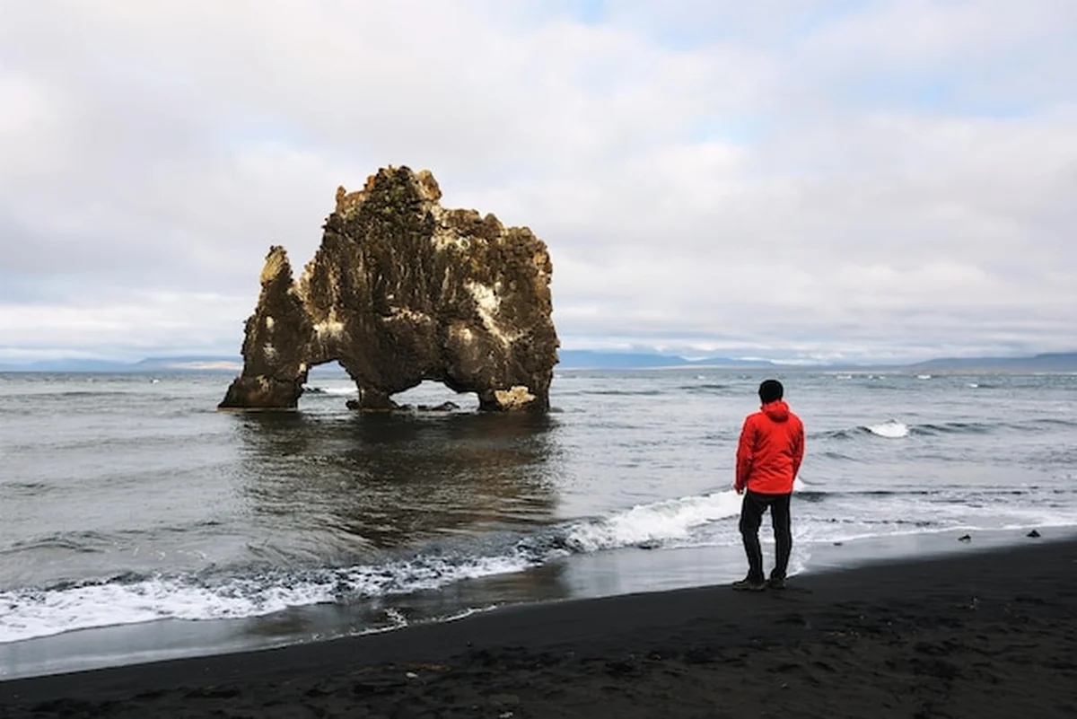 Turysta patrzy na bazaltowy Hvitserkur w Islandii – spektakularna skała w kształcie smoka nad oceanem