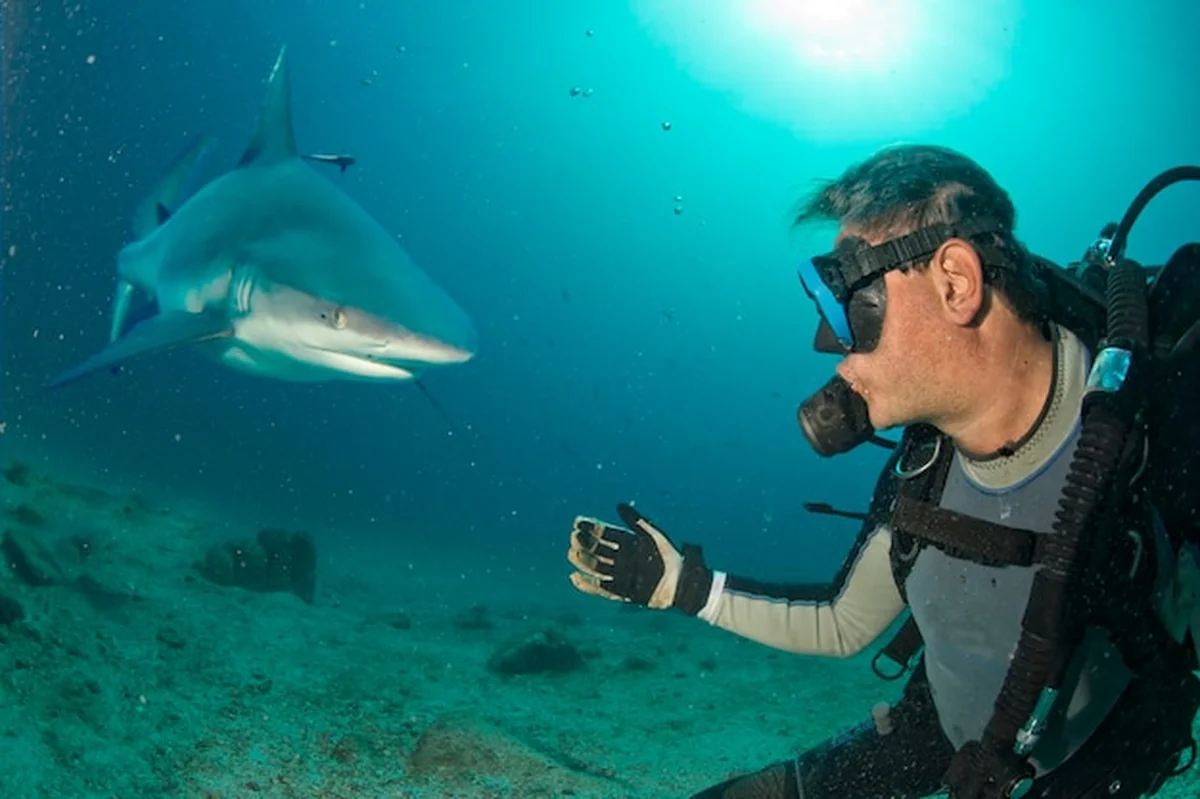 Podwodne selfie z szarym rekinem