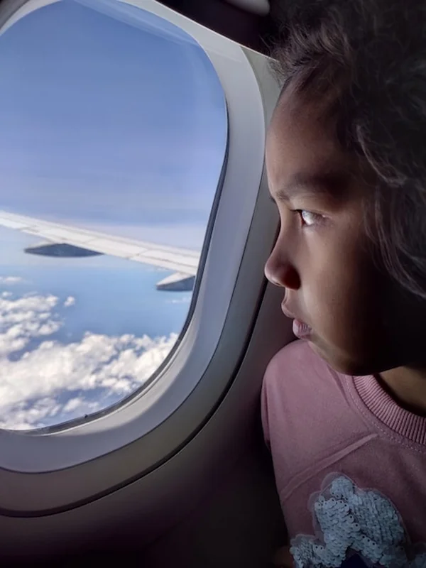 Widok przez okno samolotu w locie nad krajobrazem