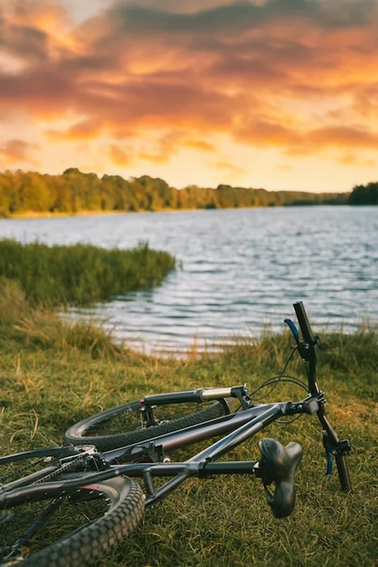 Rower górski na brzegu jeziora w słońcu wsi