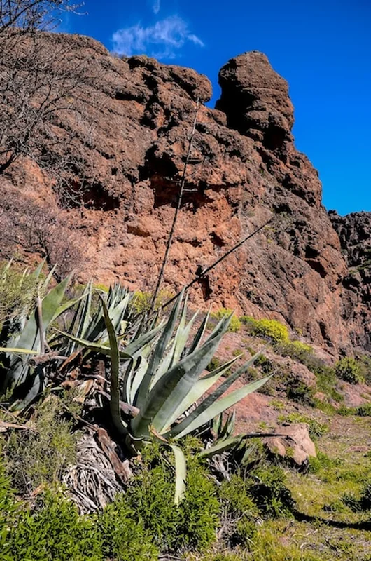 Formacja bazaltowa skał wulkanicznych na Wyspach Kanaryjskich Gran Canaria