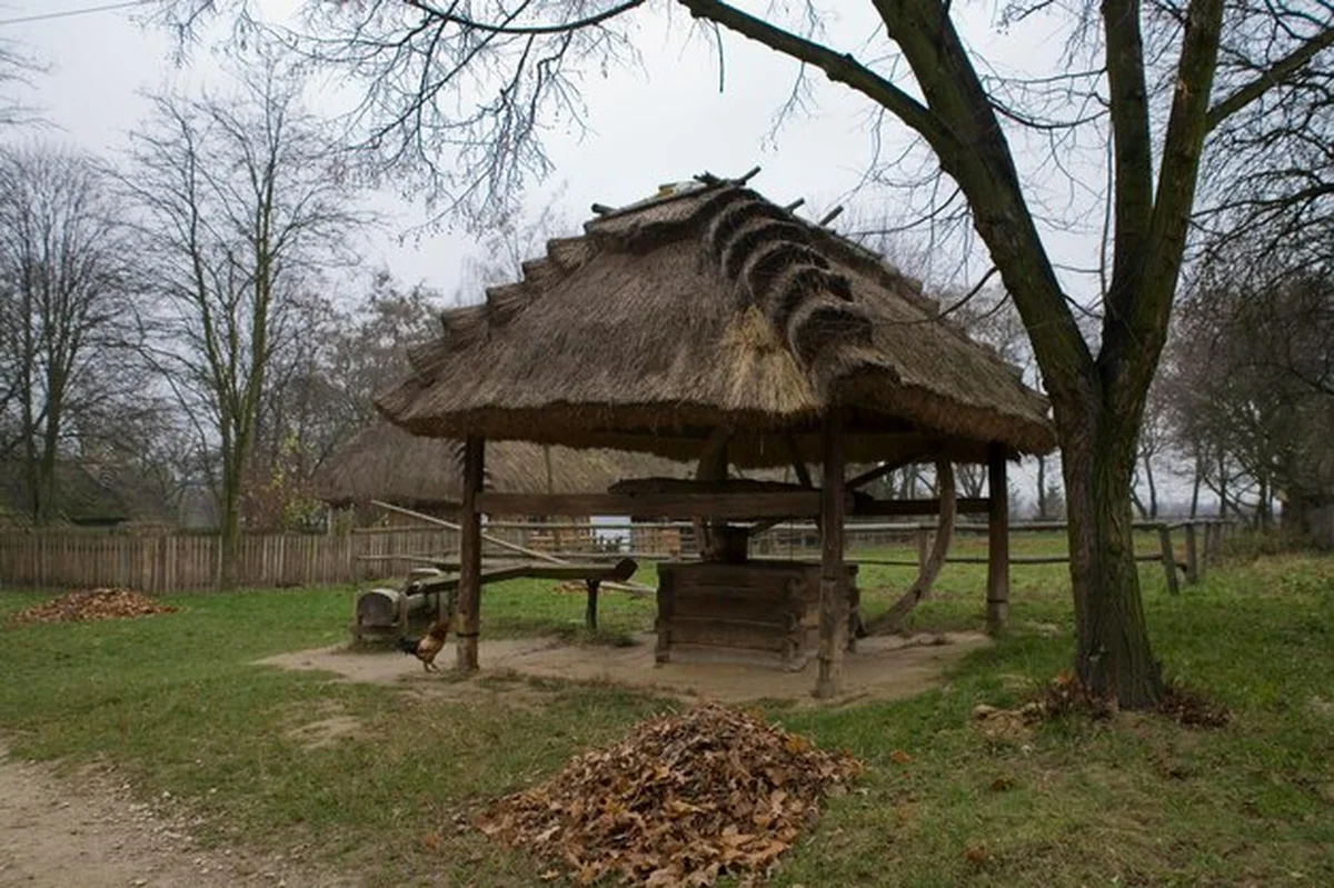 Stary drewniany dom wiejski w Polsce w jesienny dzień