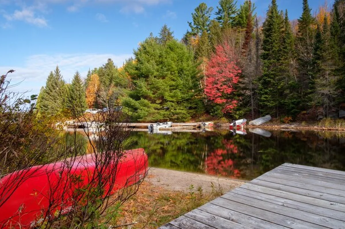Klasyczny kanadyjski krajobraz z czerwonym kano i klonem widziany przez jezioro