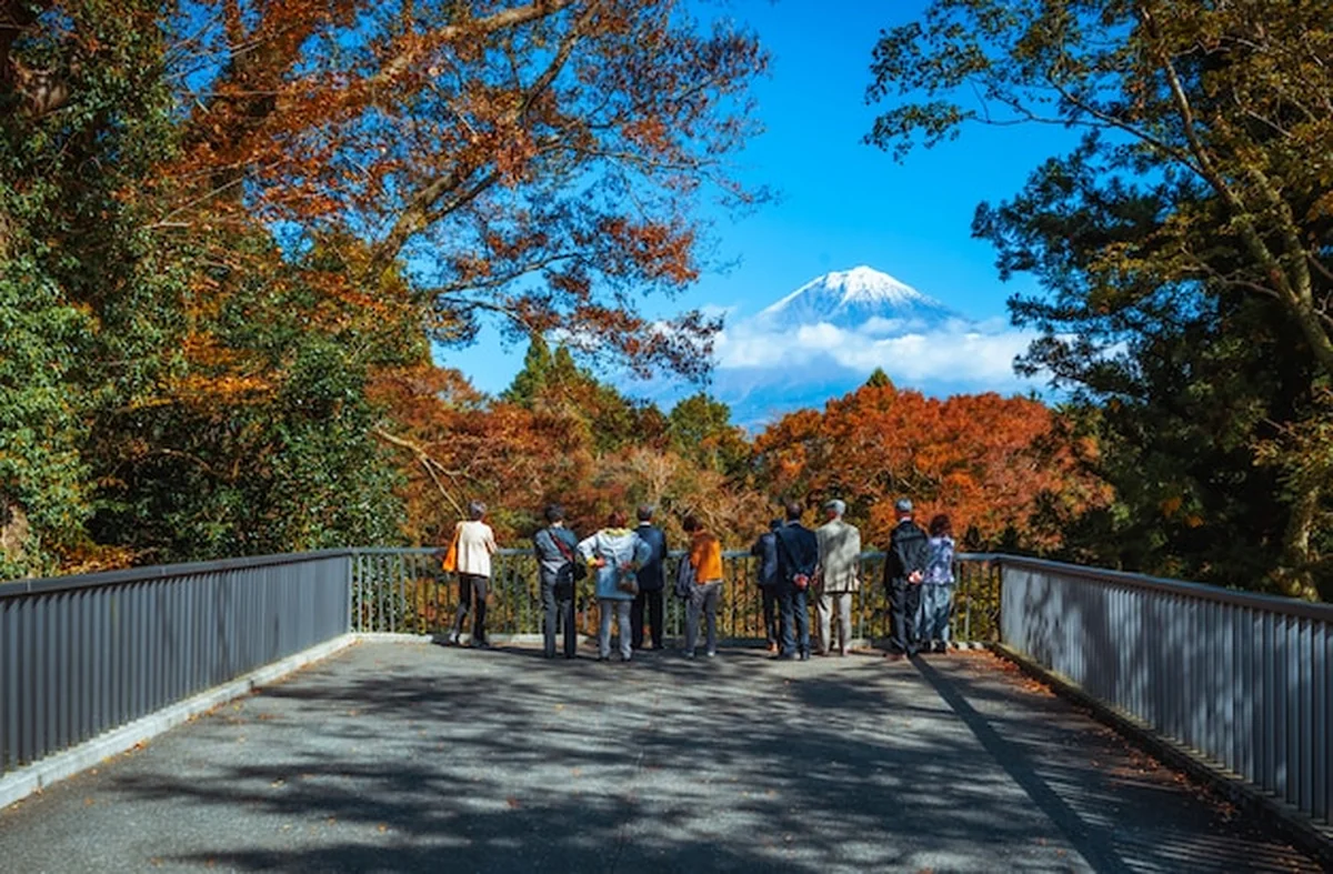 Podróżnik patrzy na Górę Fudżi i kolorowe jesienne liście przy Wodospadzie Shiraito w Japonii