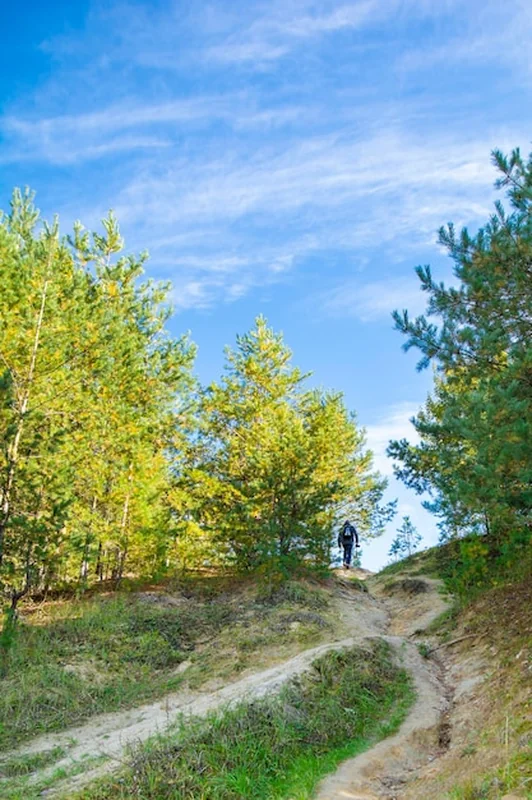 Turysta z plecakiem idący drogą w górach