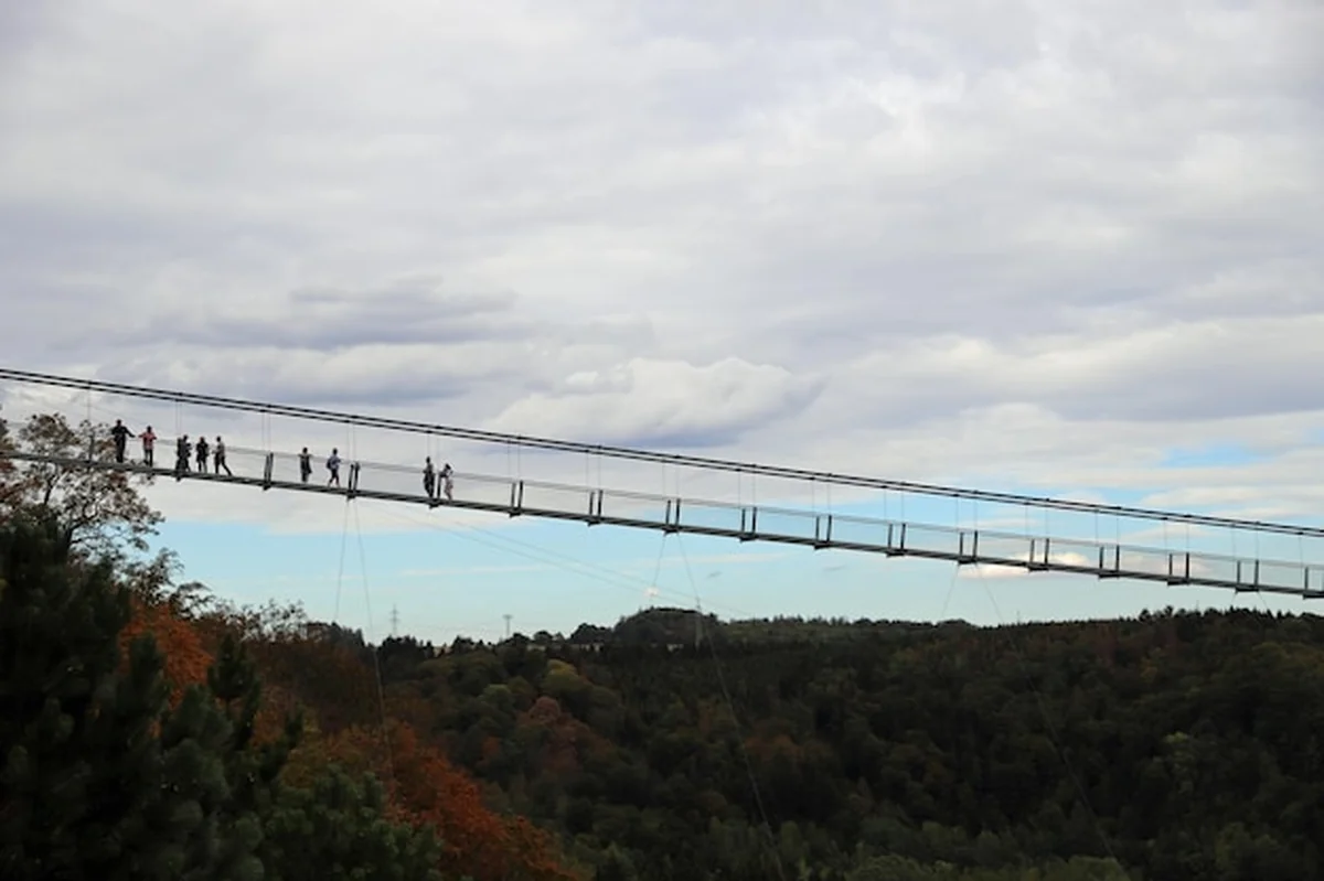 Most linowy w Harzu w Niemczech