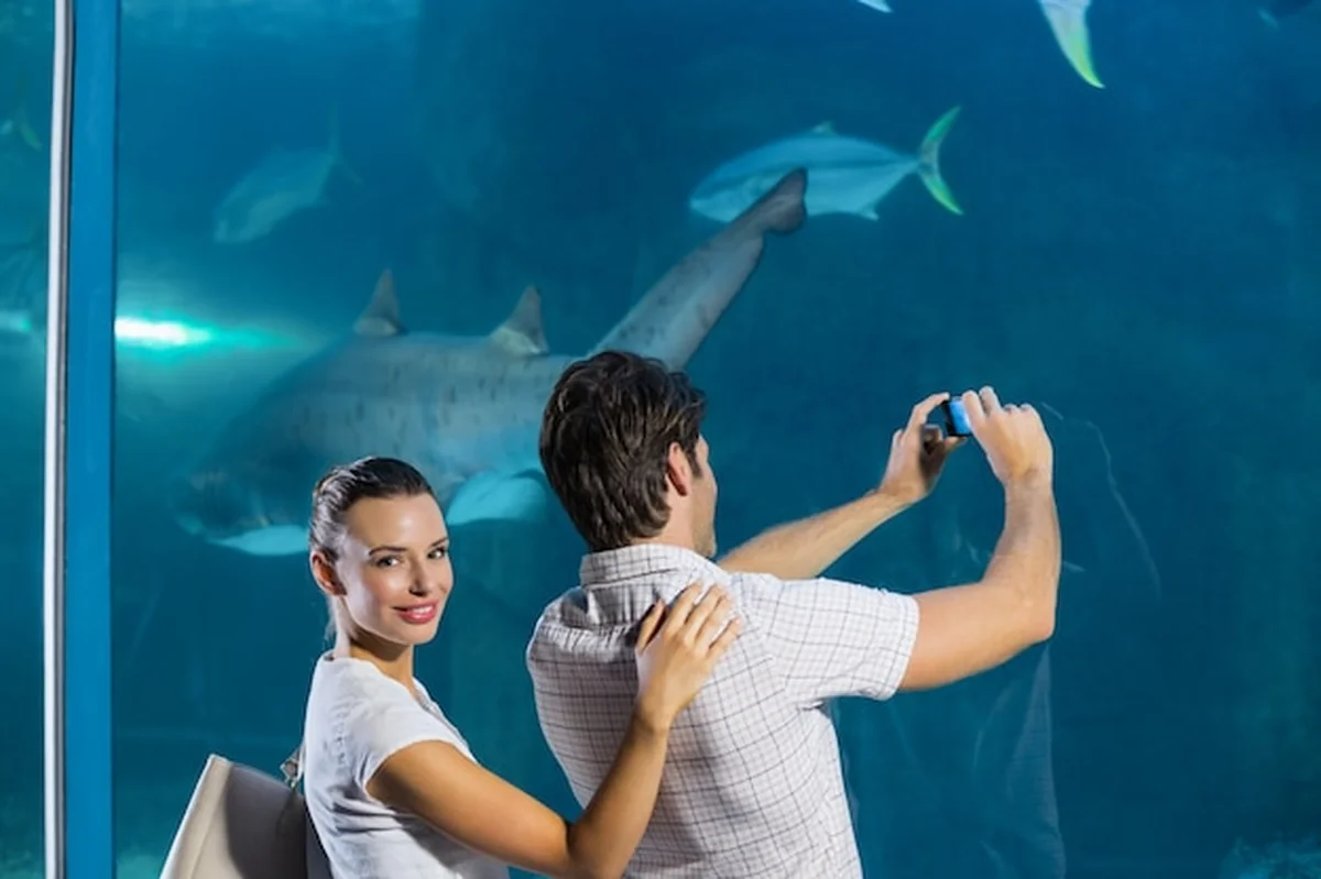 Para biorąca zdjęcie rekina